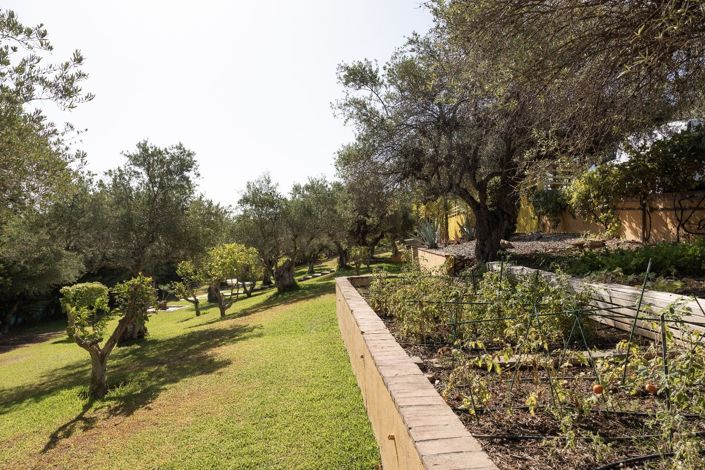 Image No.18-Finca de 4 chambres à vendre à Monda