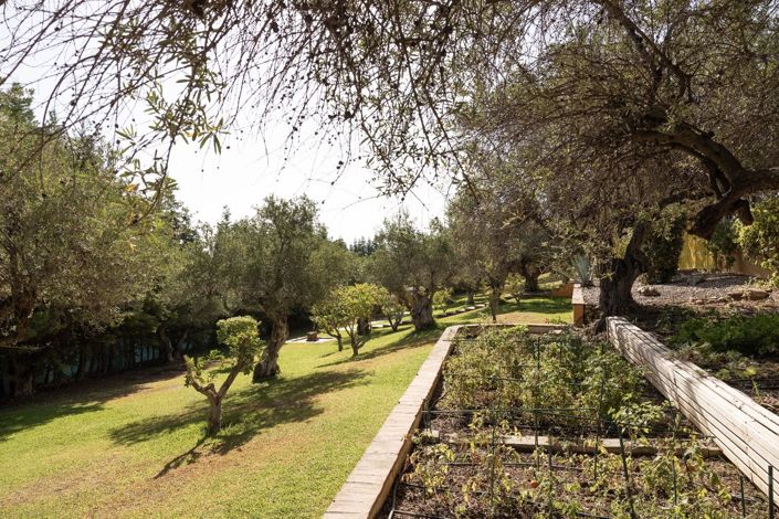 Image No.19-Finca de 4 chambres à vendre à Monda