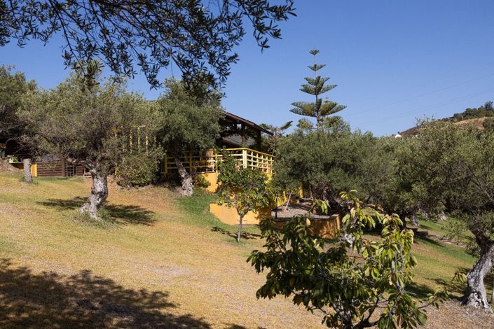 Image No.20-Finca de 4 chambres à vendre à Monda