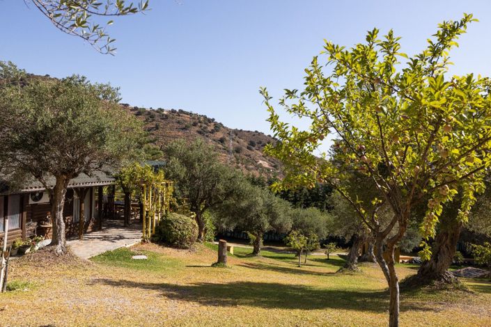 Image No.21-Finca de 4 chambres à vendre à Monda