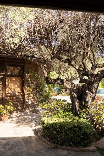 Image No.23-Finca de 4 chambres à vendre à Monda