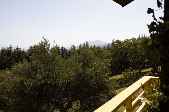 Image No.27-Finca de 4 chambres à vendre à Monda