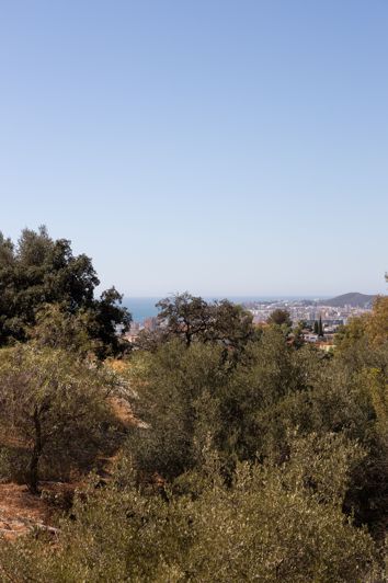 Image No.20-4 Bed House for sale