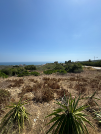 Strand Properties S.L. most sold property
