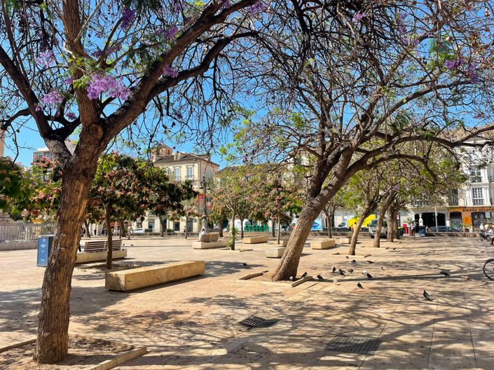 Image No.2-Propriété à vendre à Málaga City