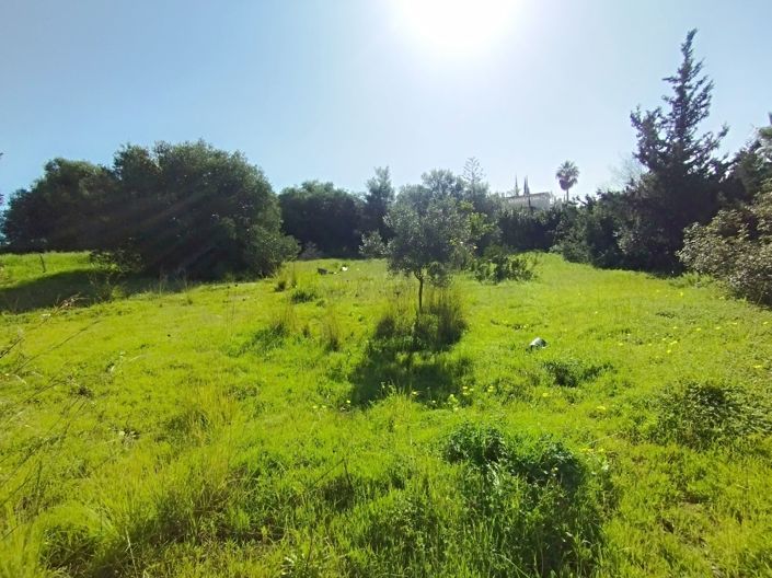 Image No.15-Plot for sale