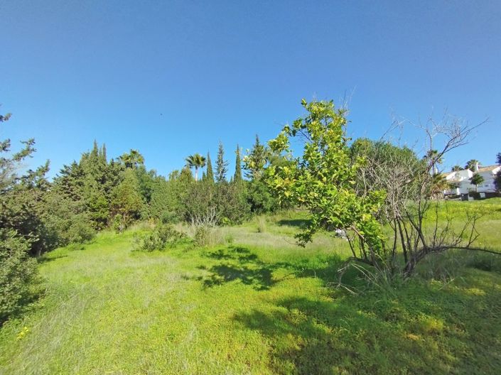 Image No.20-Plot for sale