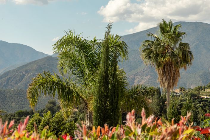 Image No.18-3 Bed House for sale