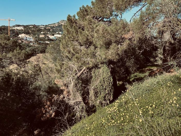 Image No.5-Plot for sale