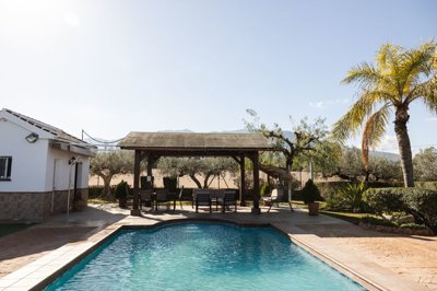 1 - Alhaurín el Grande, House