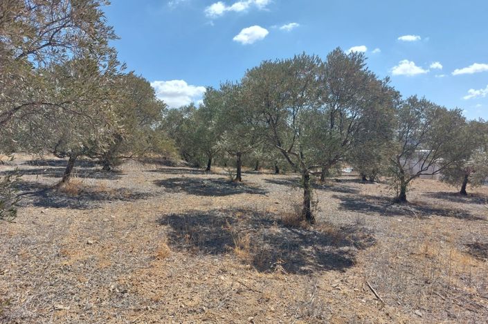 Image No.13-Terrain à vendre à Álora