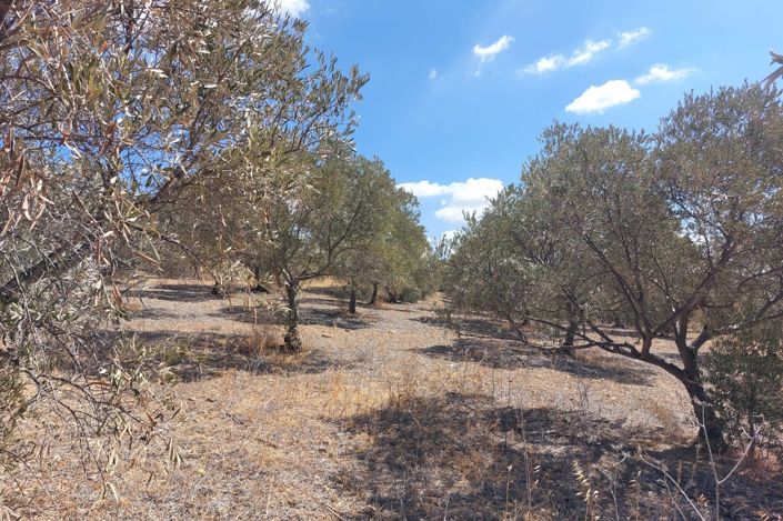 Image No.14-Terrain à vendre à Álora