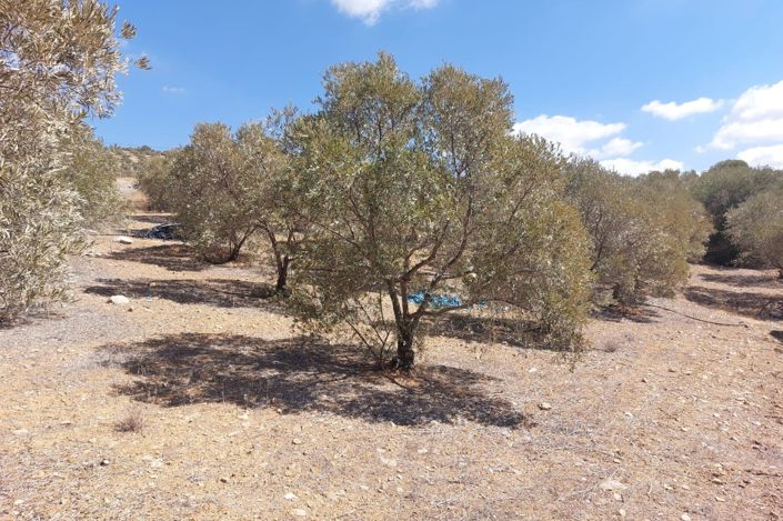 Image No.18-Terrain à vendre à Álora