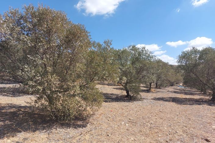 Image No.19-Terrain à vendre à Álora