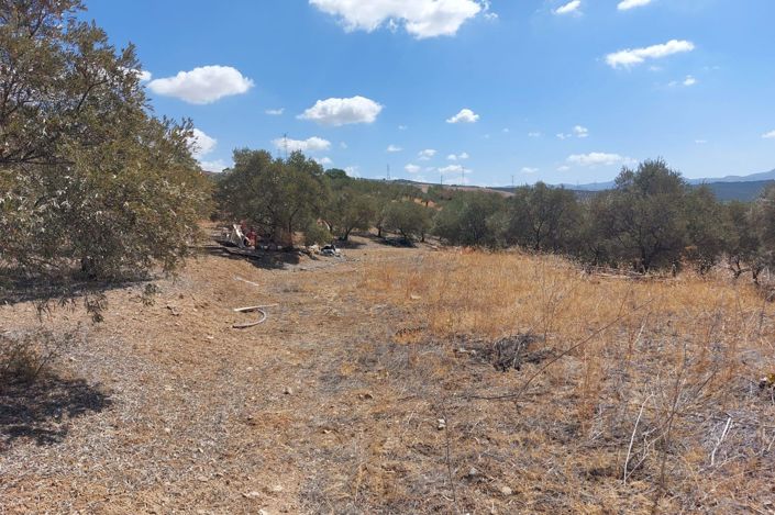 Image No.7-Terrain à vendre à Álora