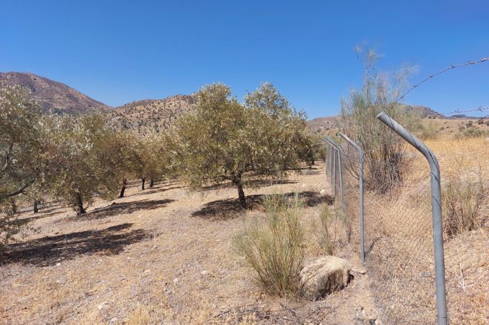 Image No.9-Terrain à vendre à Álora