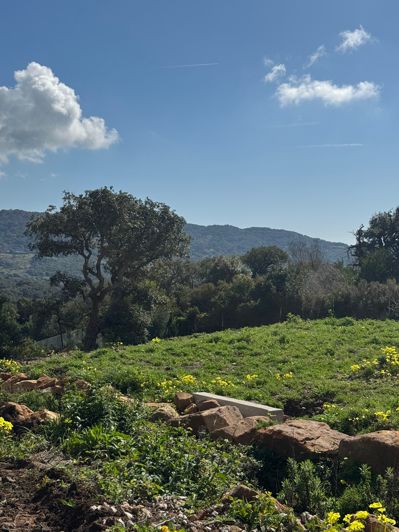 Image No.20-Villa de 5 chambres à vendre à Tarifa