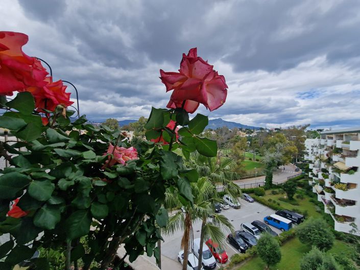 Image No.21-Penthouse de 3 chambres à vendre à San Pedro de Alcantara