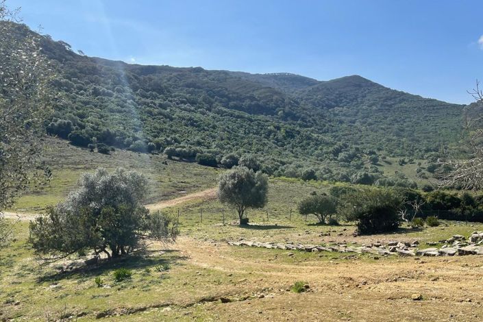 Image No.31-3 Bed Finca for sale