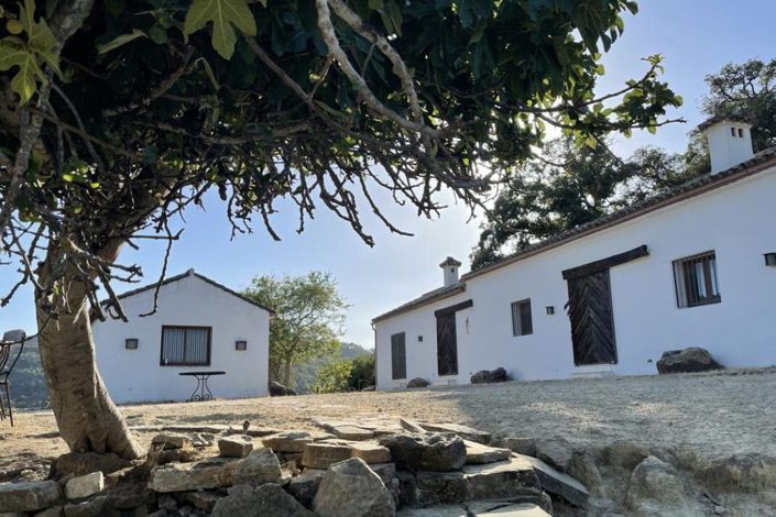 Image No.8-3 Bed Finca for sale