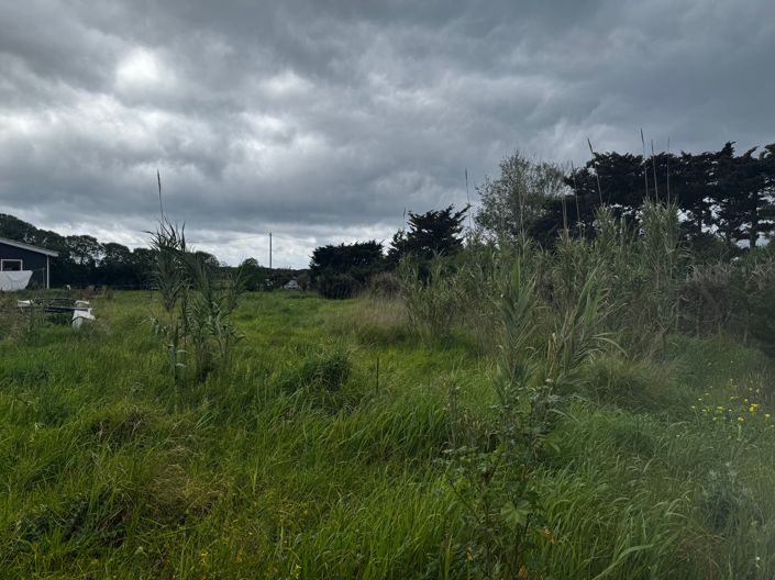 Image No.17-Maison de 2 chambres à vendre à Tarifa