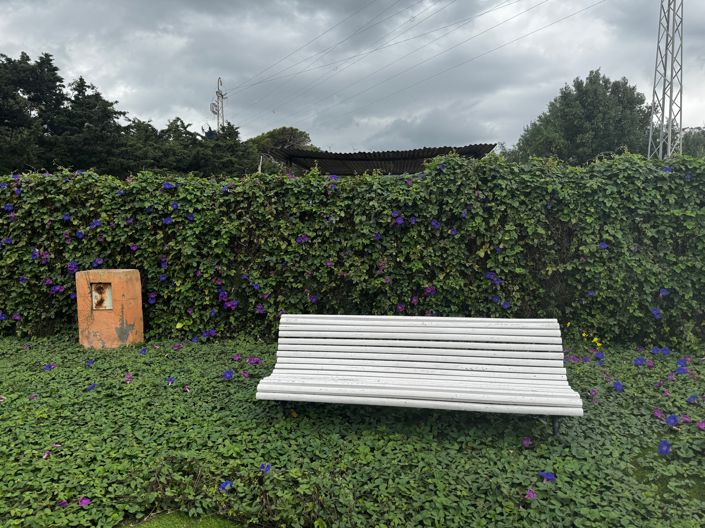 Image No.22-Maison de 2 chambres à vendre à Tarifa