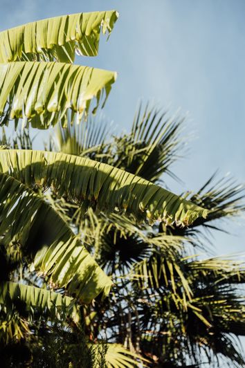 Image No.16-3 Bed House for sale