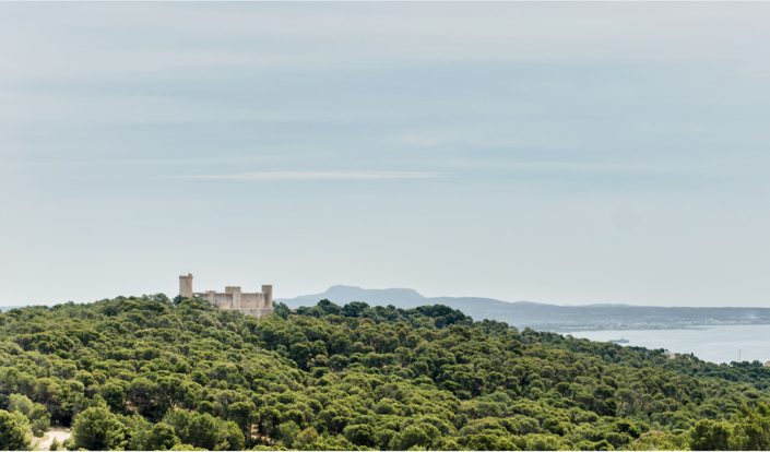 Image No.19-3 Bed House for sale