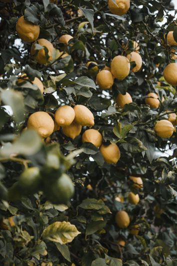 Image No.9-3 Bed House for sale