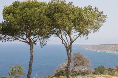 spcrm3287-xeguansu1wpocmde