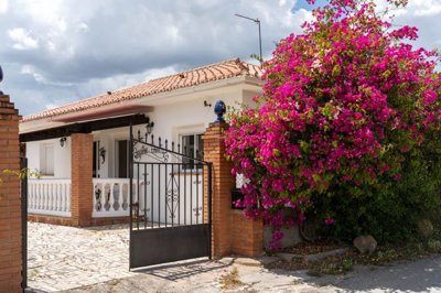 Strand Properties S.L. most sold property