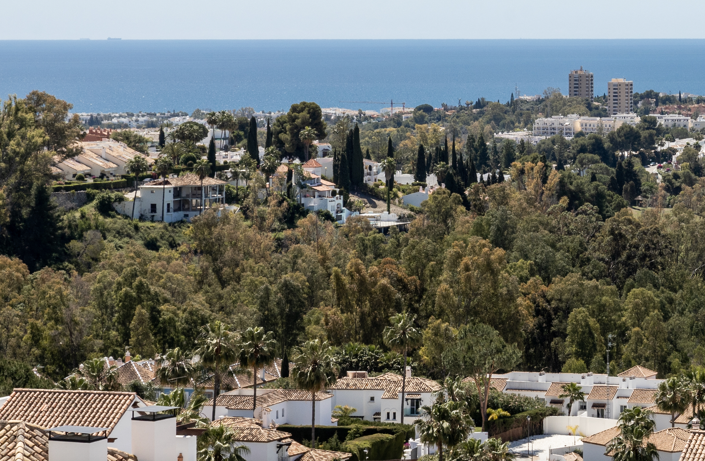 Image No.24-3 Bed Penthouse for sale