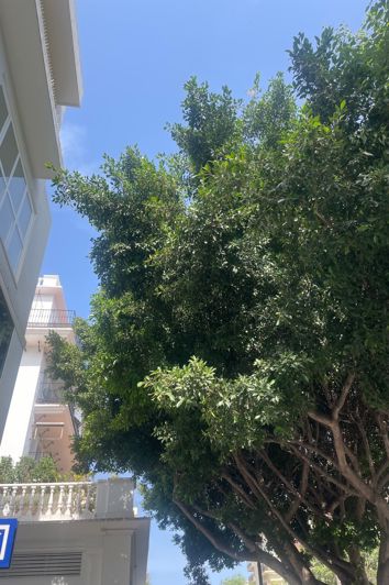 Image No.25-Appartement de 3 chambres à vendre à Marbella