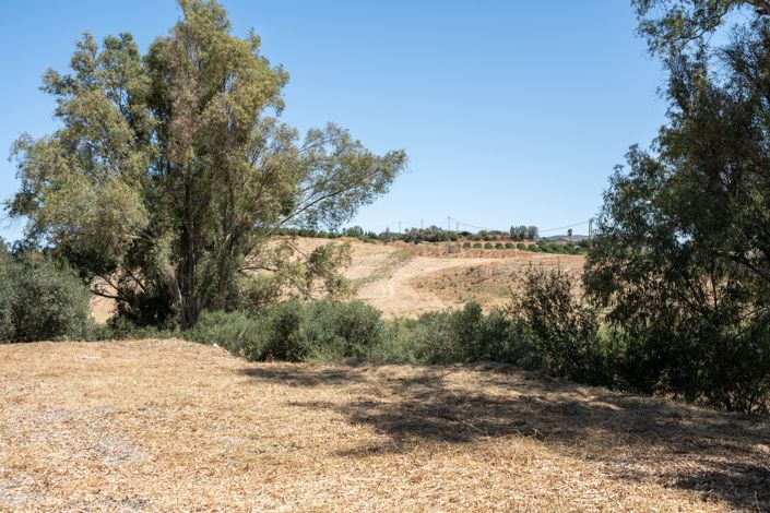 Image No.16-3 Bed Finca for sale
