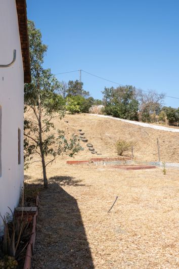 Image No.20-3 Bed Finca for sale