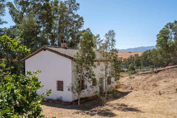 Image No.21-Finca de 3 chambres à vendre à Cartama