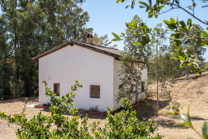Image No.21-3 Bed Finca for sale