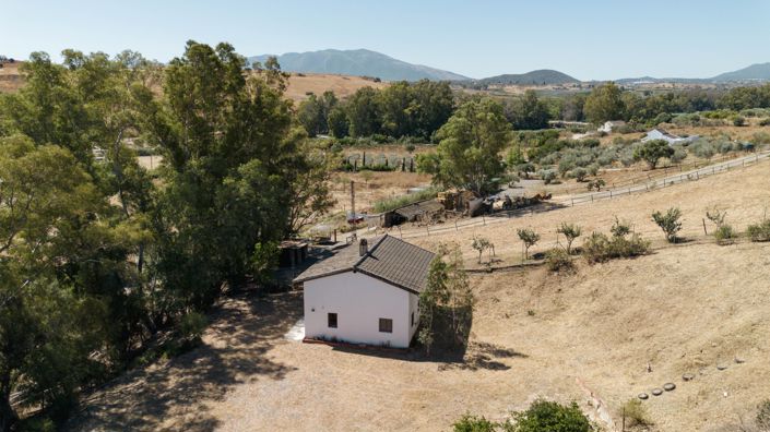 Image No.25-3 Bed Finca for sale