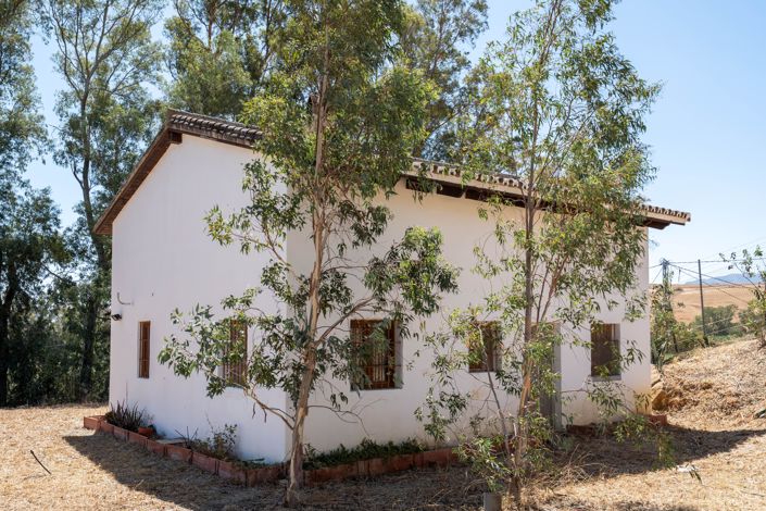 Image No.3-3 Bed Finca for sale