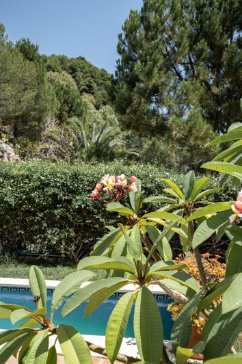 Image No.3-2 Bed House for sale