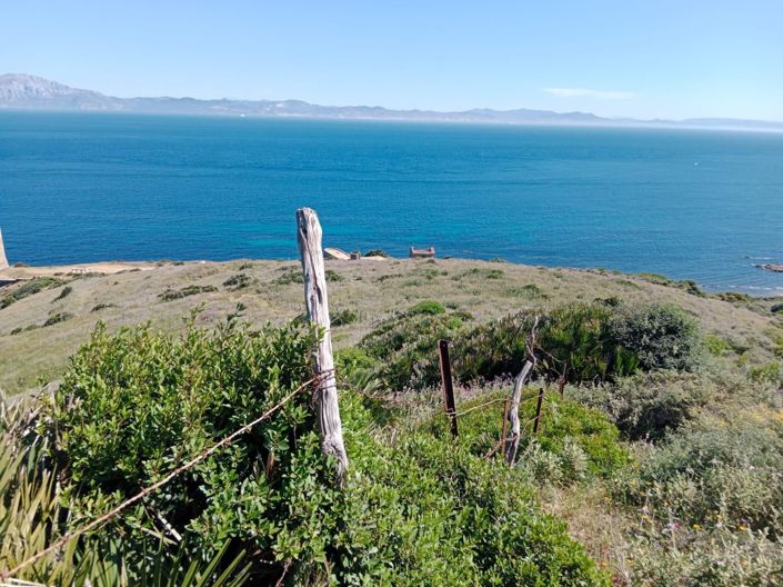Image No.9-Terrain à vendre à Tarifa