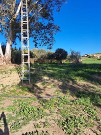 Strand Properties S.L. most sold property