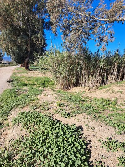 Image No.2-Terrain à vendre à Cartama