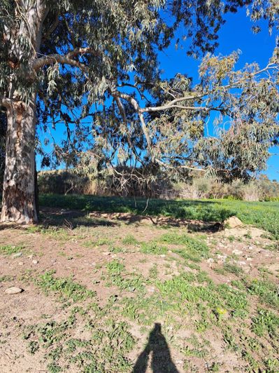 Image No.9-Terrain à vendre à Cartama