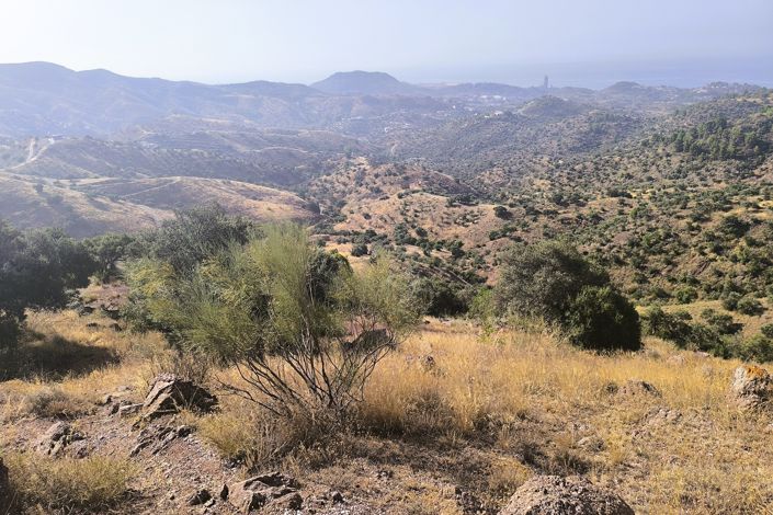 Image No.11-Terrain à vendre à Málaga City