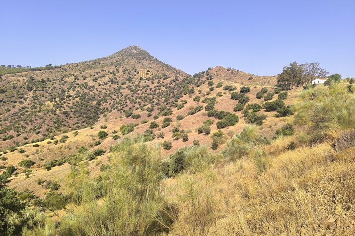 Image No.13-Terrain à vendre à Málaga City