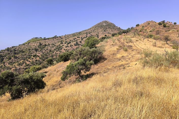 Image No.16-Terrain à vendre à Málaga City