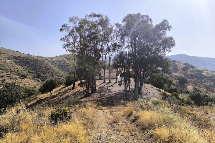 Image No.17-Terrain à vendre à Málaga City