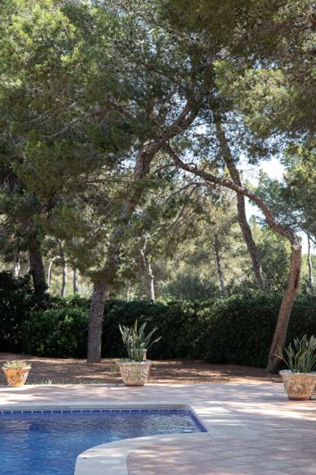 Image No.22-4 Bed House for sale