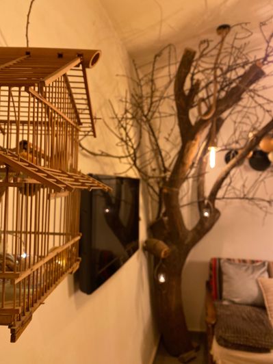 Image No.20-Finca de 4 chambres à vendre à Granada